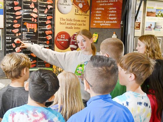 A 4H student explains beef production to county fourth graders as part of National Agriculture Day at Mansfield Park. For a complete gallery of photos, visit the Bulletin’s Facebook page BULLETIN PHOTO/Tracy Thayer