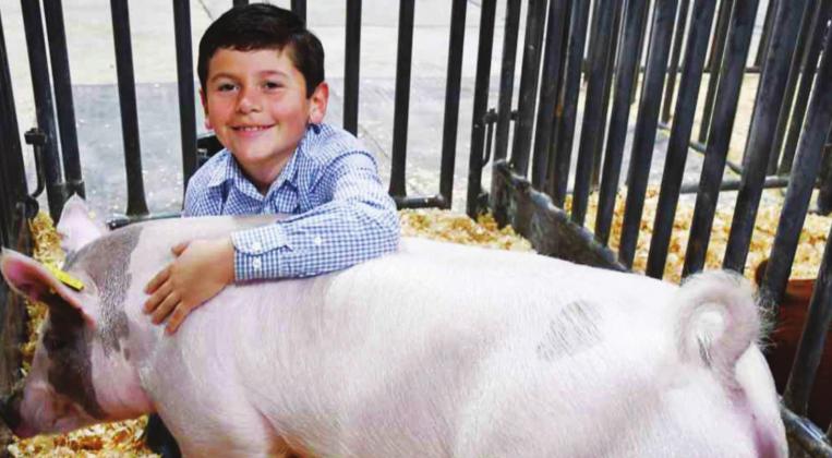 Junior Livestock Show concludes another year