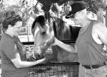 HORSE RESCUE FEATURES NEW NAME