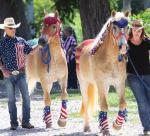 Pet Parade scheduled for July 4