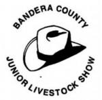 Junior livestock show 