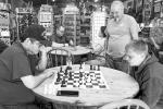 CHESS NIGHTS CONTINUE