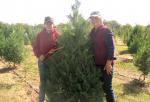 Joan Clark and her grandson, Jay Cantu, of Utopia pose before cutting down a Christmas Tree to take home from the Pipe Creek Christmas Tree Farm. “We are looking for just the right size tree to put in our house that does not having a large ceiling, and 